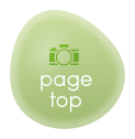 page top